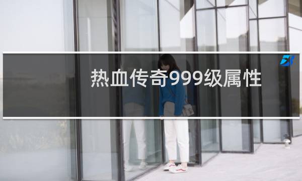 热血传奇999级属性