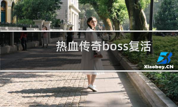 热血传奇boss复活