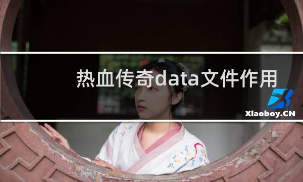 热血传奇data文件作用