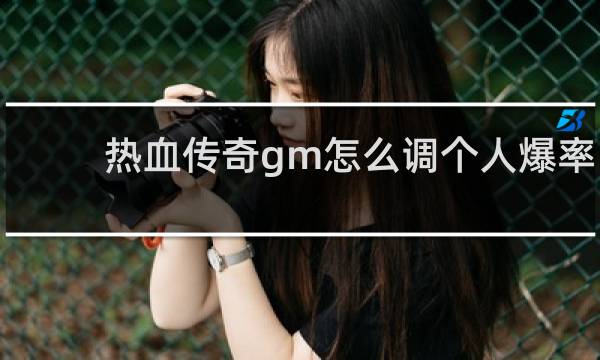 热血传奇gm怎么调个人爆率