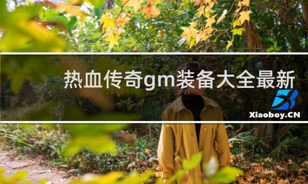 热血传奇gm装备大全最新