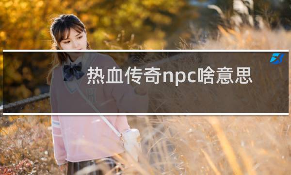 热血传奇npc啥意思