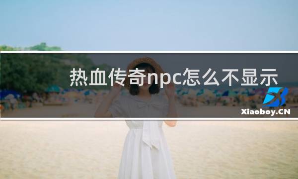 热血传奇npc怎么不显示