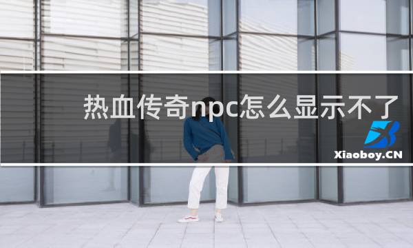 热血传奇npc怎么显示不了