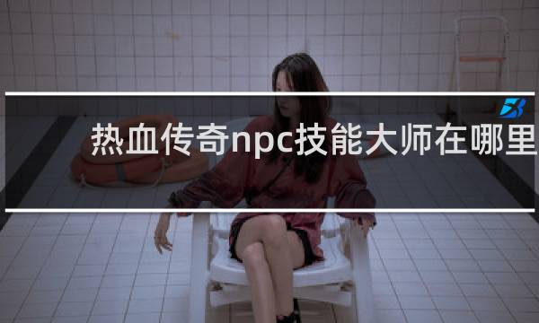 热血传奇npc技能大师在哪里
