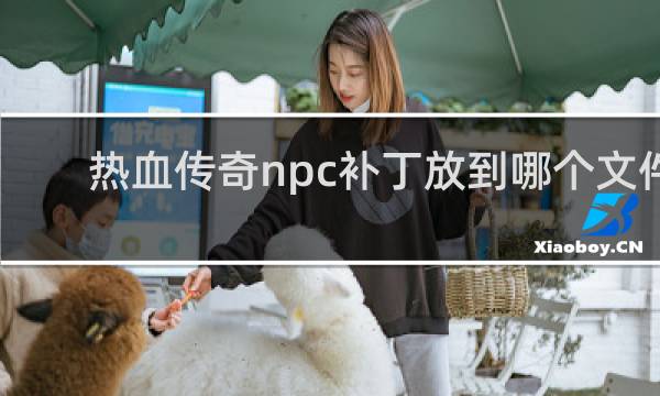 热血传奇npc补丁放到哪个文件