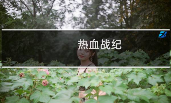热血战纪 道士攻略