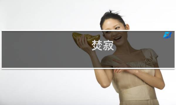 焚寂 攻略