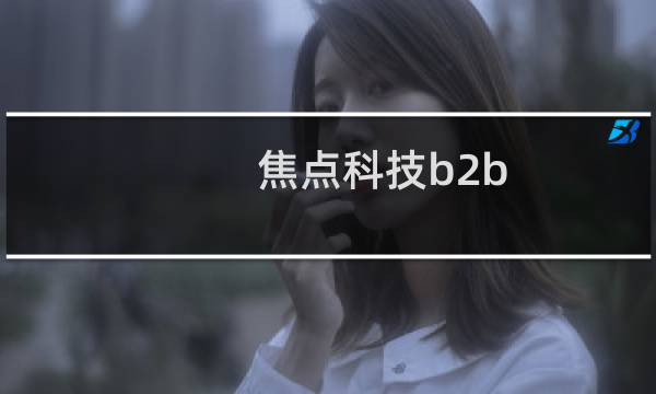焦点科技b2b