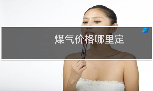 煤气价格哪里定