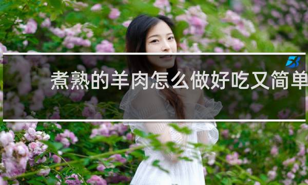 煮熟的羊肉怎么做好吃又简单