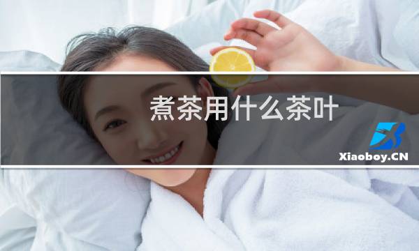 煮茶用什么茶叶