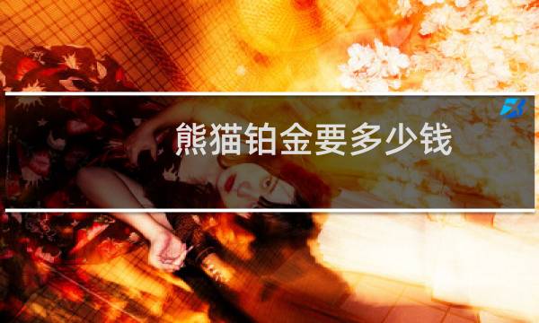 熊猫铂金要多少钱