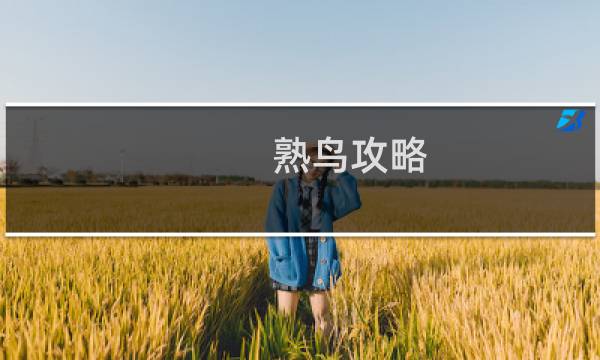 熟鸟攻略