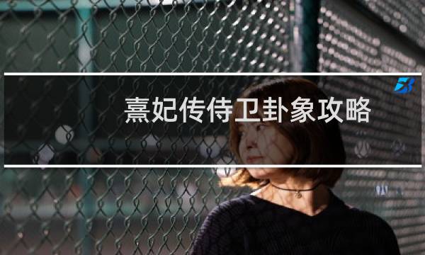 熹妃传侍卫卦象攻略