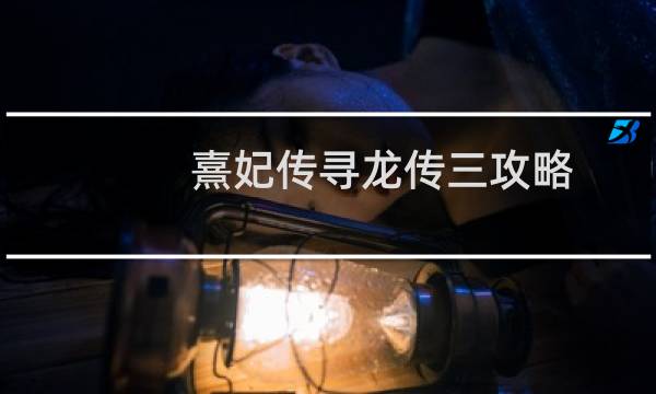 熹妃传寻龙传三攻略