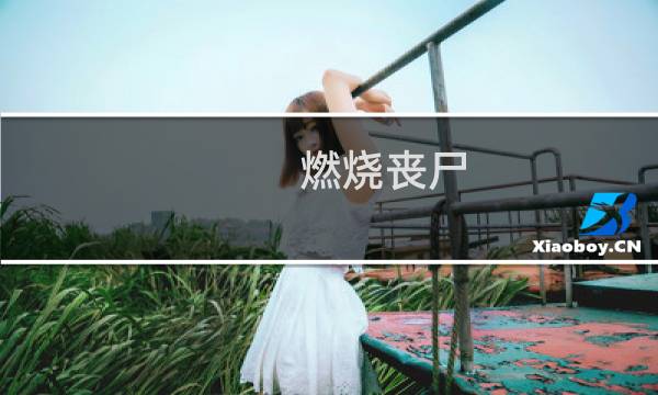 燃烧丧尸 攻略