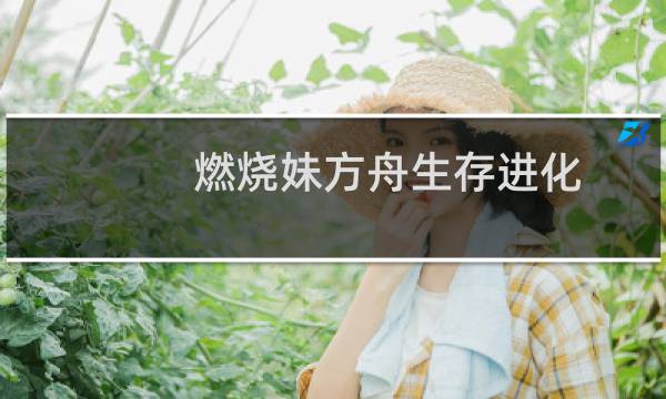 燃烧妹方舟生存进化