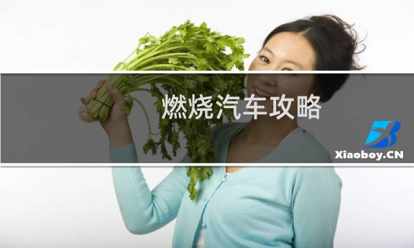 燃烧汽车攻略