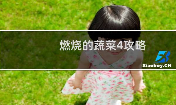 燃烧的蔬菜4攻略