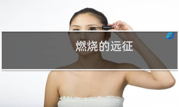 燃烧的远征 攻略