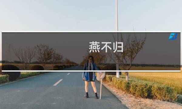 燕不归 攻略
