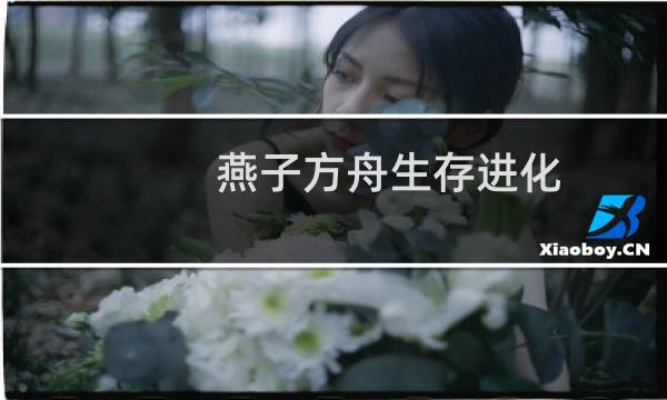 燕子方舟生存进化