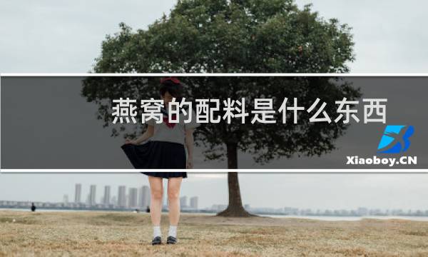 燕窝的配料是什么东西