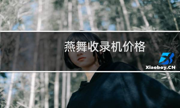 燕舞收录机价格
