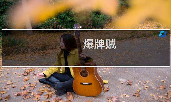 爆牌贼 攻略