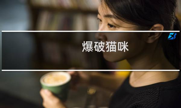 爆破猫咪 攻略