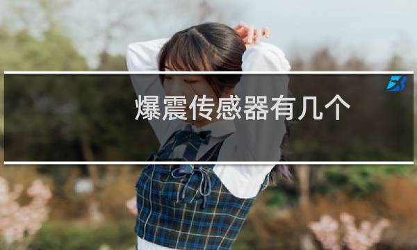 爆震传感器有几个