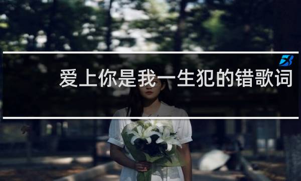 爱上你是我一生犯的错歌词