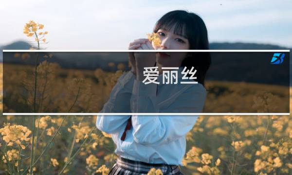 爱丽丝 攻略 偶像