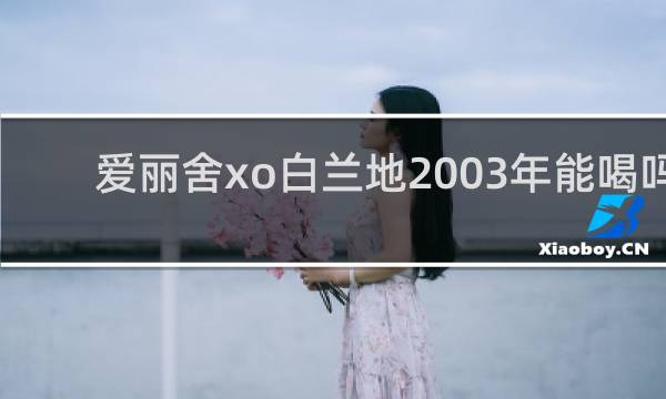 爱丽舍xo白兰地2003年能喝吗