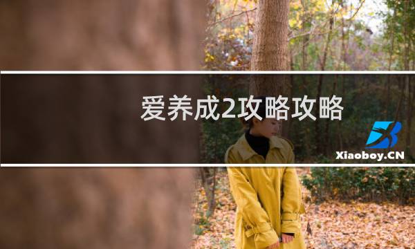 爱养成2攻略攻略