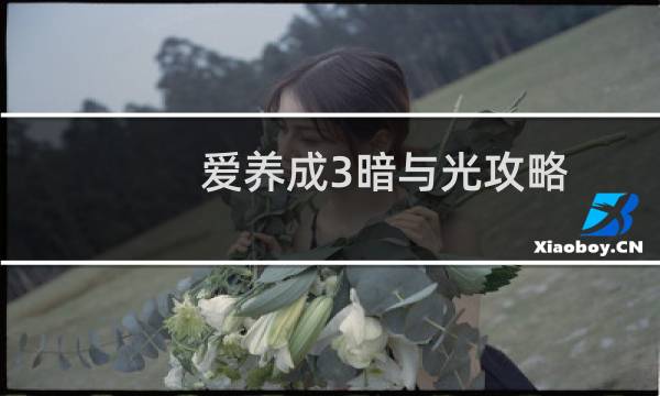 爱养成3暗与光攻略