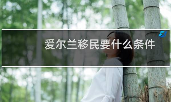 爱尔兰移民要什么条件
