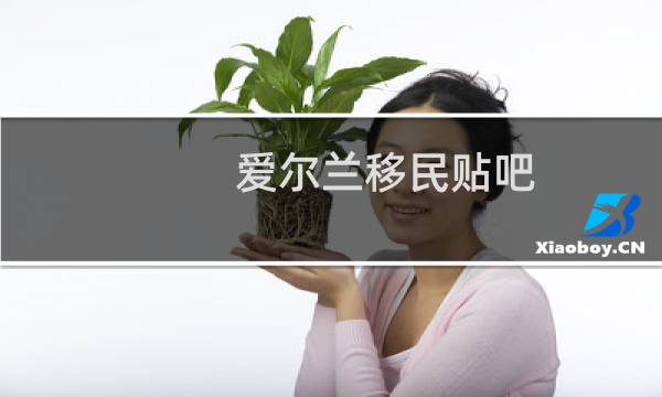 爱尔兰移民贴吧