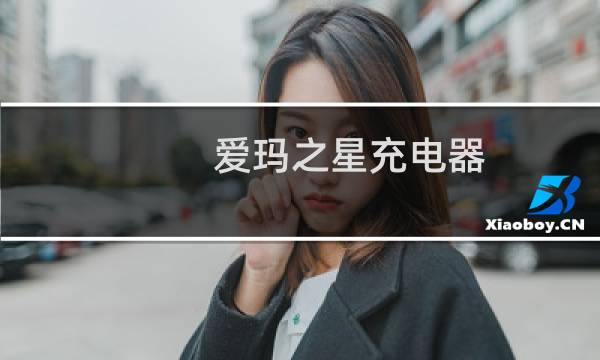 爱玛之星充电器