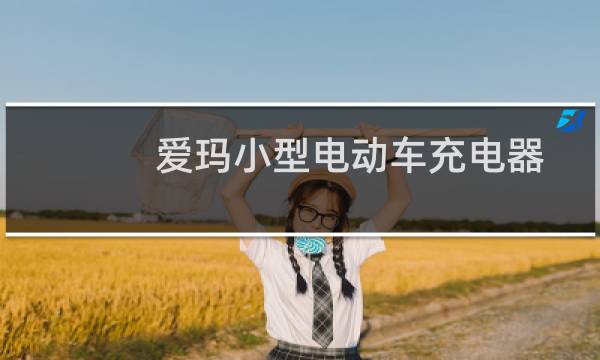 爱玛小型电动车充电器