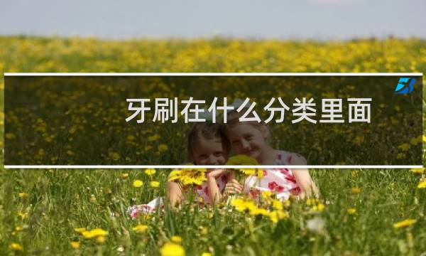牙刷在什么分类里面