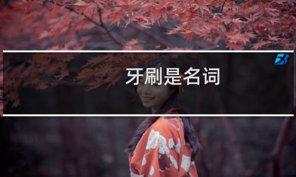 牙刷是名词