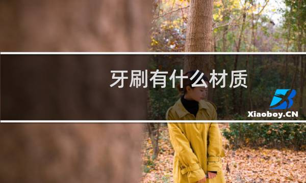 牙刷有什么材质