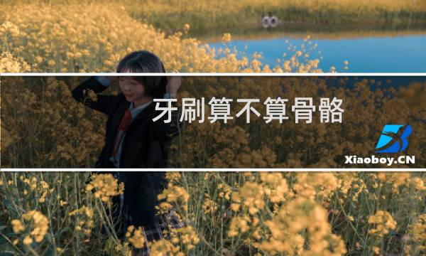 牙刷算不算骨骼