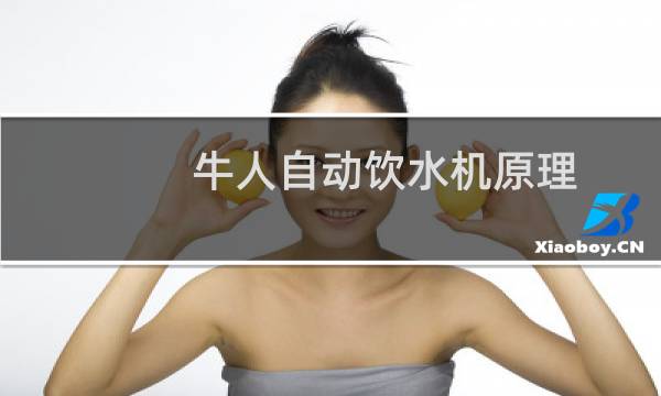 牛人自动饮水机原理