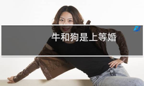 牛和狗是上等婚