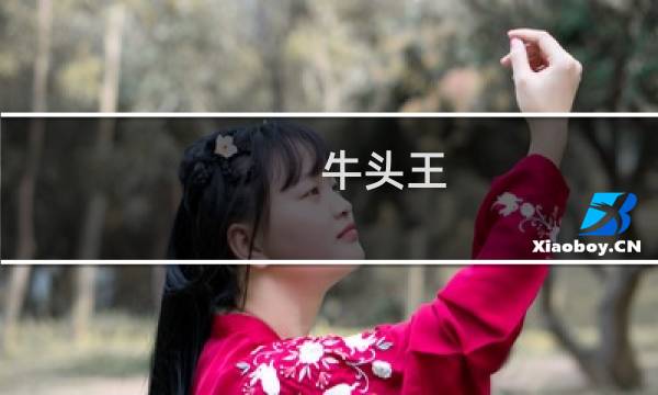牛头王 攻略