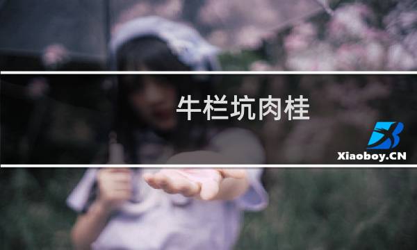牛栏坑肉桂 价格