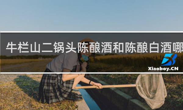 牛栏山二锅头陈酿酒和陈酿白酒哪个好